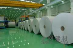 芬林集團(tuán)年產(chǎn)150萬t紙漿項目正式啟動